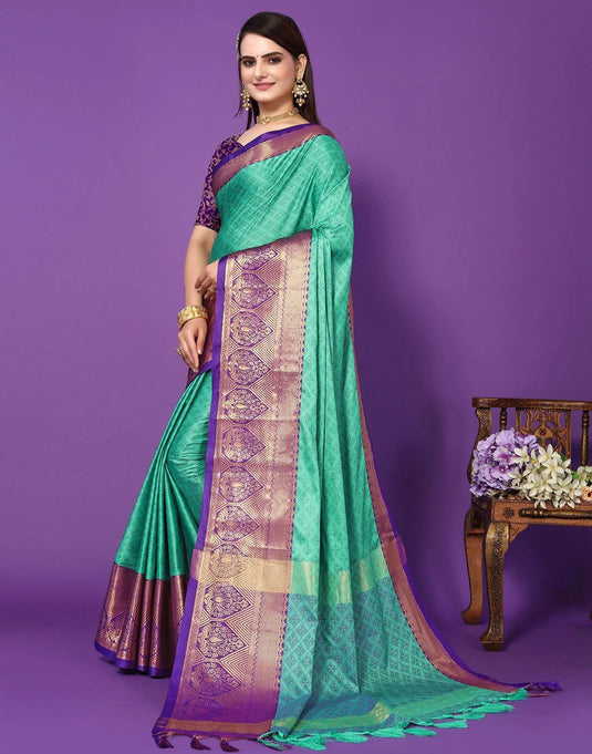printed embellished saree